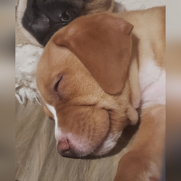 Meet your Posher, Brenda - Picture 13 of 15